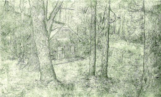 Cottage in a Forest